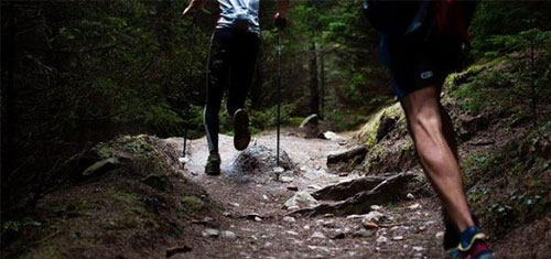 Nordic-Walking